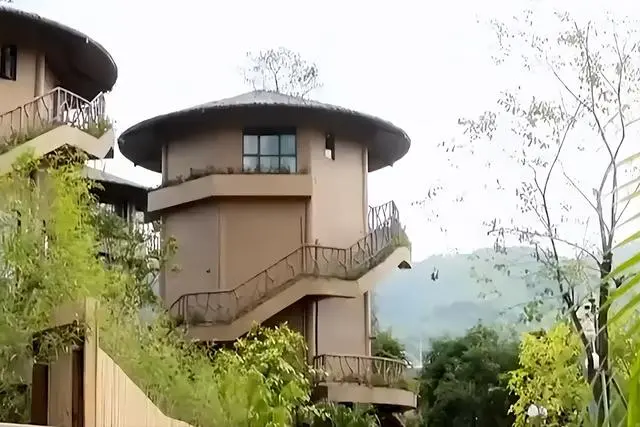致富种植果火龙果图片_种植火龙果致富_种火龙果致富视频
