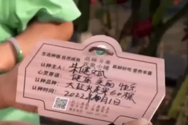 致富种植果火龙果图片_种植火龙果致富_种火龙果致富视频