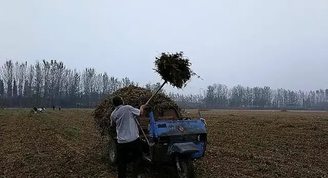 唐忠华致富经_唐忠华致富经_唐忠华养兔致富经
