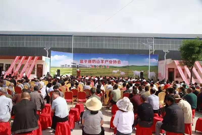立足特色产业  推进乡村振兴——刘集镇奶山羊产业实现全产业链经营