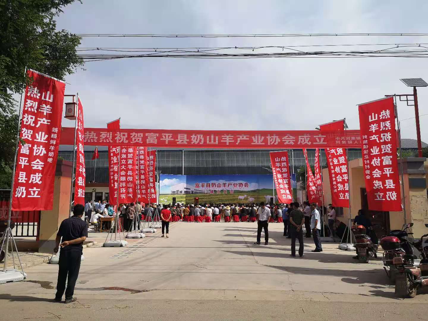 致富养殖奶羊怎么样_致富养殖奶羊视频_养殖奶羊致富