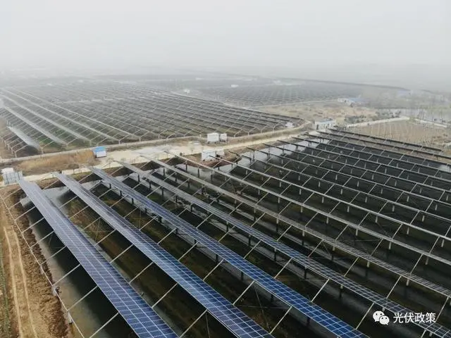 致富经养螺狮_家养螺狮_养螺狮小技巧