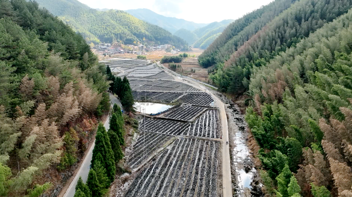 黑木耳养殖基地_黑木耳养殖致富_养殖黑木耳技术