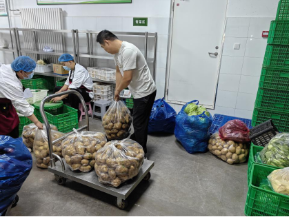 致富经小葱种植_致富经大葱_致富经大葱种植