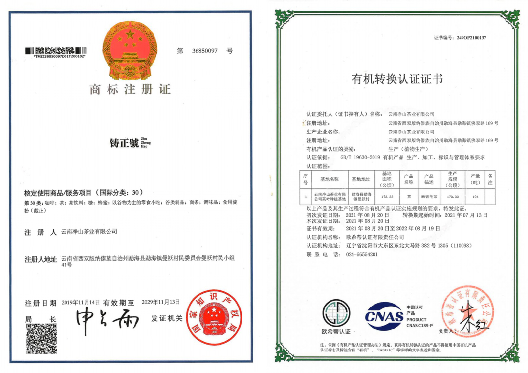 致富经卖茶叶_卖茶叶年赚上亿_茶叶致富带头人