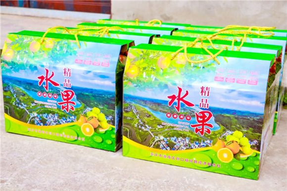 沃柑收益_沃柑赚钱吗_cctv沃柑致富经