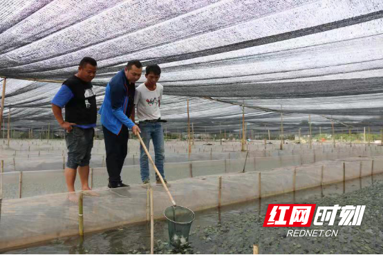 湘西养殖基地_湖南湘西养殖项目_湘西养殖致富