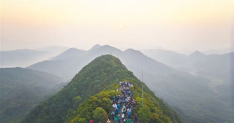 @海南人 这里有份绿色“财富单”，等你查收→