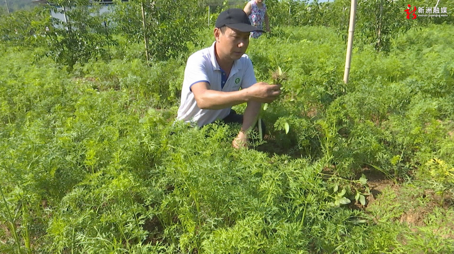 问津英才⑲ | 刘水兵：“种养循环”蹚出生态致富路