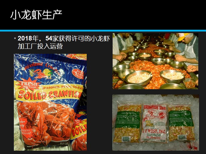 国外龙虾养殖_致富经小龙虾养殖技术视频_致富经养外国小龙虾
