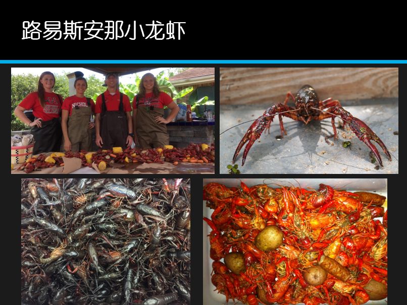 致富经养外国小龙虾_国外龙虾养殖_致富经小龙虾养殖技术视频