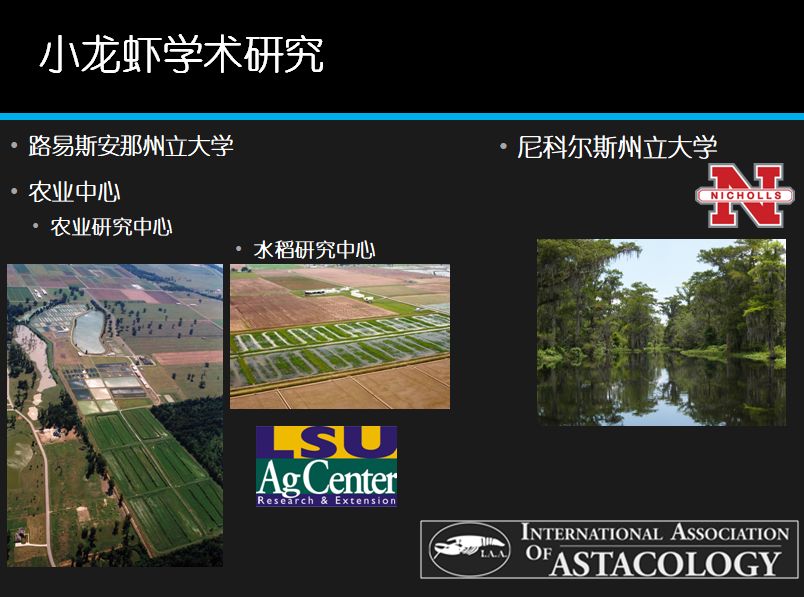 国外龙虾养殖_致富经养外国小龙虾_致富经小龙虾养殖技术视频