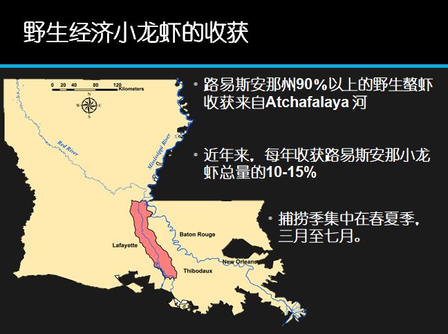 致富经养外国小龙虾_国外龙虾养殖_致富经小龙虾养殖技术视频