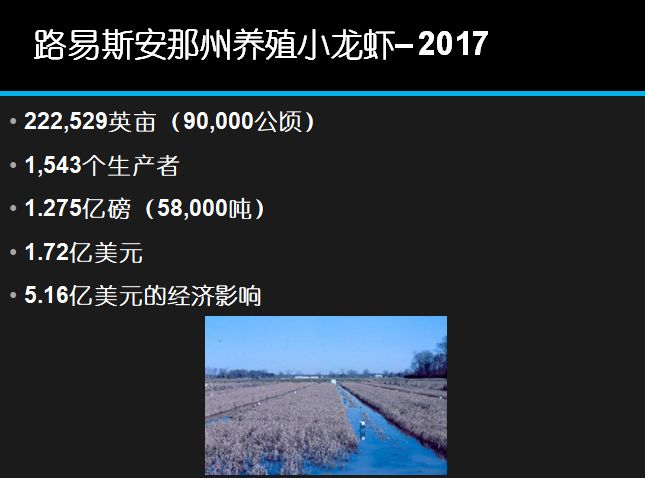 致富经养外国小龙虾_致富经小龙虾养殖技术视频_国外龙虾养殖
