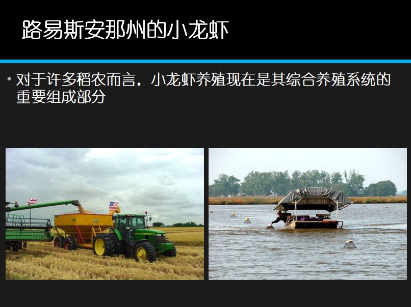 致富经养外国小龙虾_致富经小龙虾养殖技术视频_国外龙虾养殖