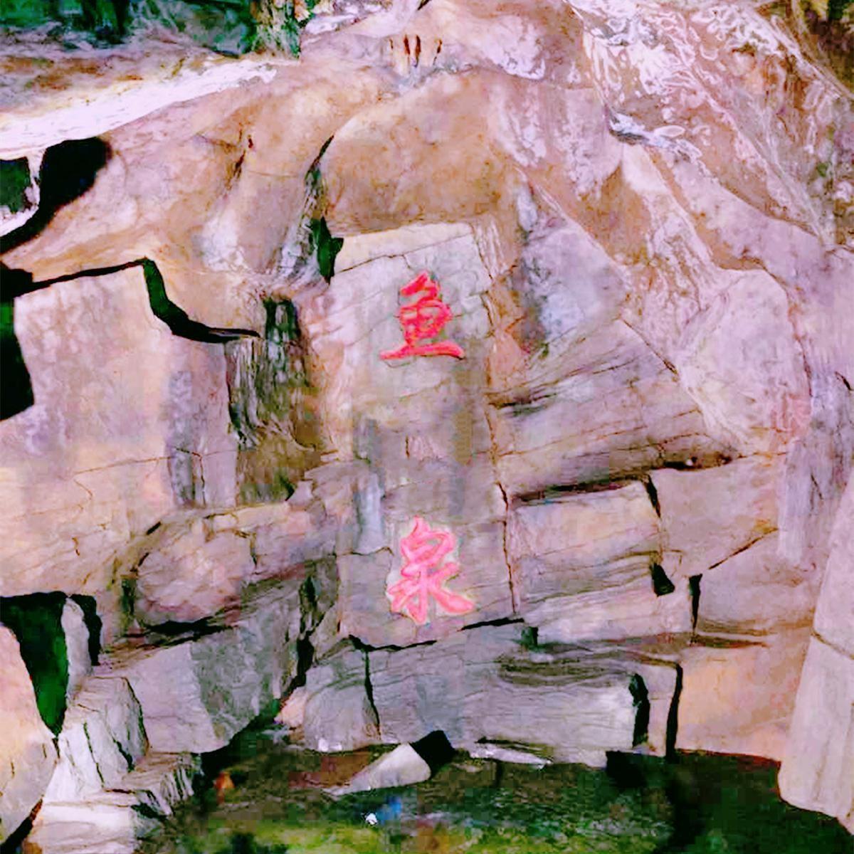 养殖致富带头人_致富养殖名人_致富养殖好项目大全