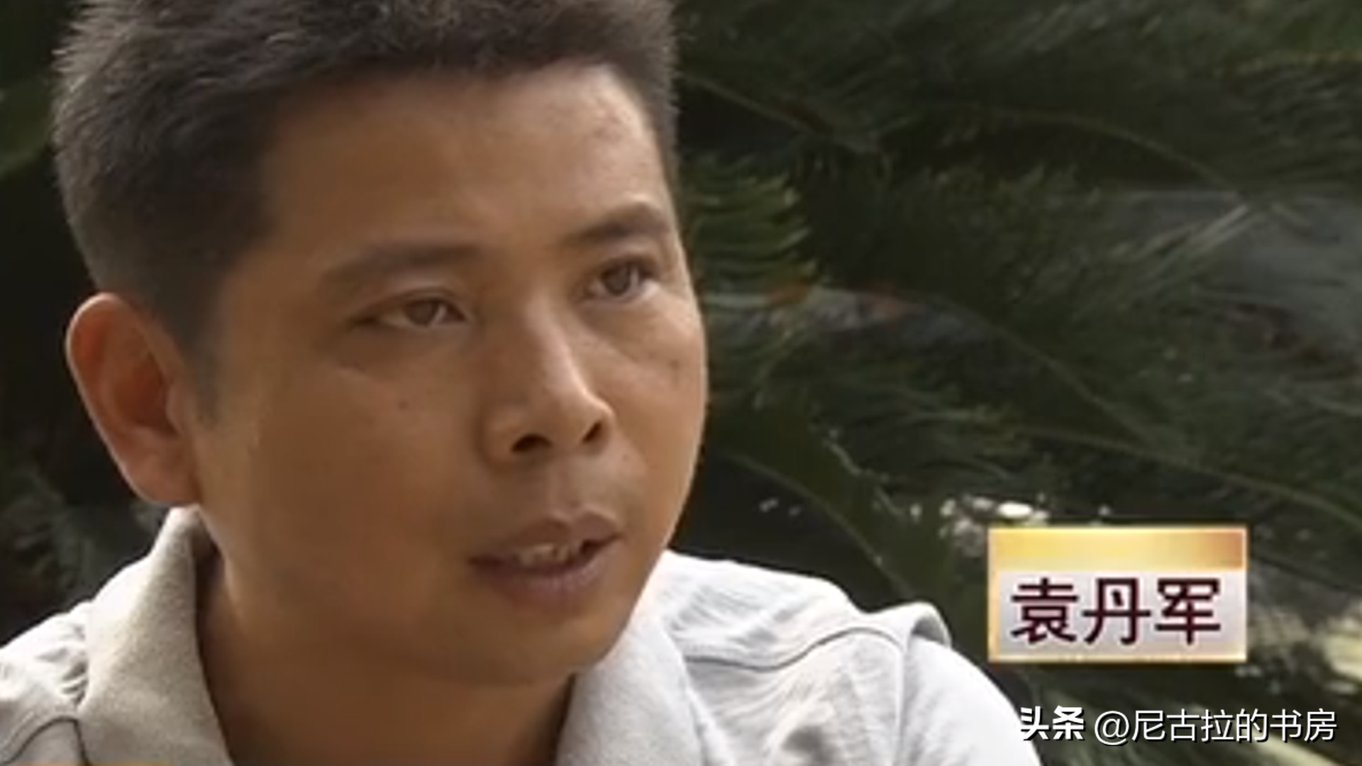 中华鲶价格_中华鲶多少钱一斤_养殖中华鲶鱼致富经历
