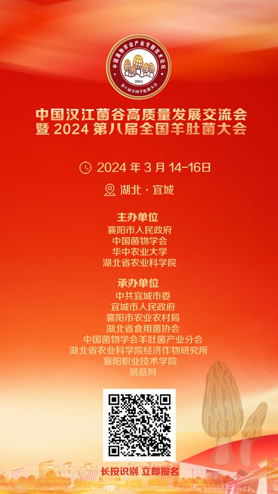 种羊肚菌大棚怎么建视频讲解_羊肚菌大田种植技术_羊肚菌大田栽培流程