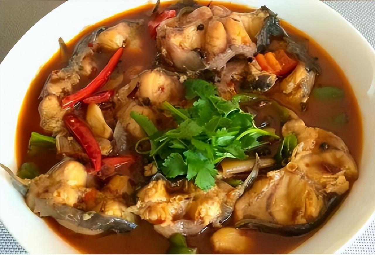 中华鲶鱼苗哪里买_中华鲶多少钱一斤_养殖中华鲶鱼致富经历