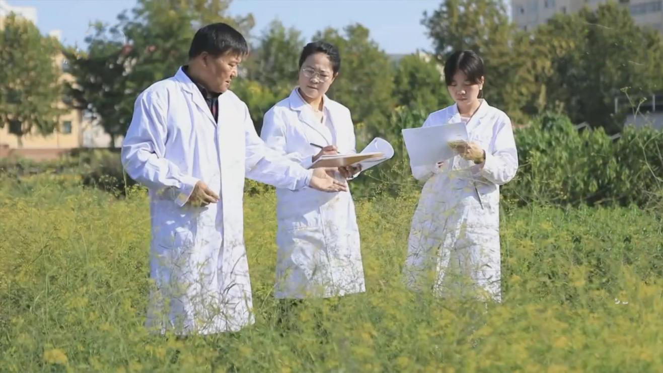 致富中药种植农民视频_农民种植中药致富_致富中药种植农民有补贴吗