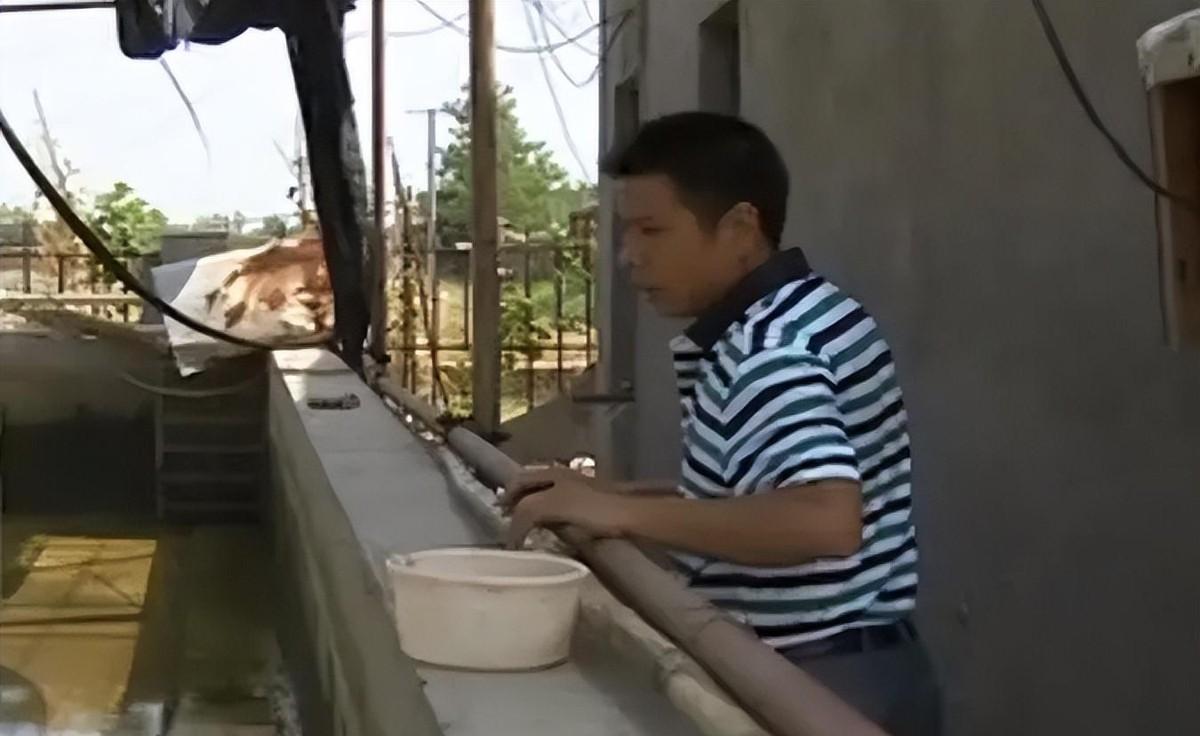 养殖中华鲶鱼致富经历_致富养殖中华鲶鱼经历了什么_中华鲶鱼苗哪里买