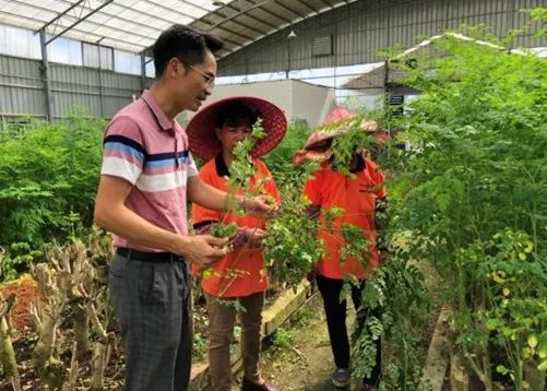种植脱贫致富_种植扶贫致富_致富扶贫种植补贴政策