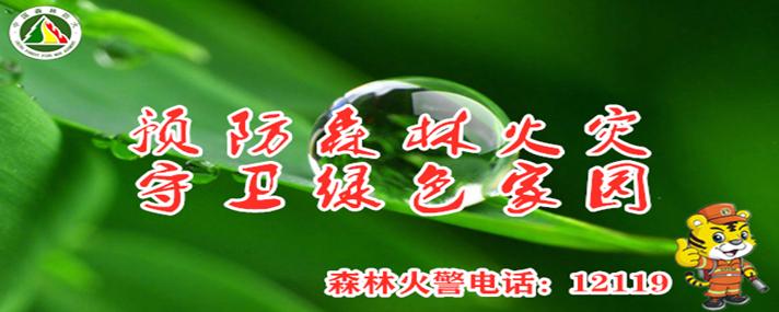 致富种植花苗图片大全_种植花卉致富_种植花苗致富
