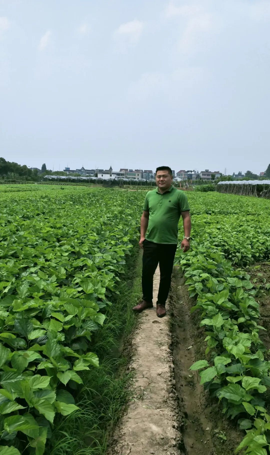 扶贫种植有什么项目_种植脱贫致富_种植扶贫致富