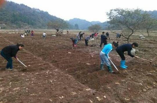 农村大叔种地亩赚5万，无私公开了种植秘诀，赚钱就这么简单