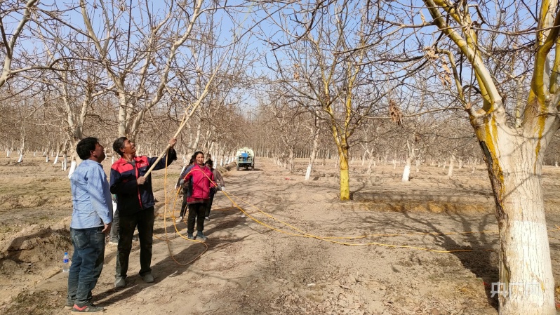 农民致富种植项目_农民种植致富方式_致富种植农民方式有哪几种