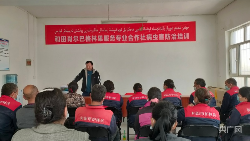 农民致富种植项目_致富种植农民方式有哪几种_农民种植致富方式