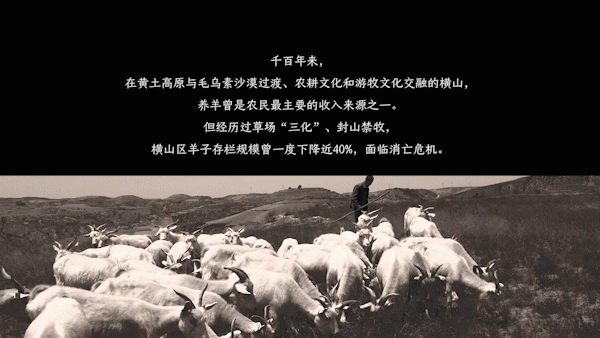 致富经养羊视频全集_羊肉免致富经视频_致富经羊肉