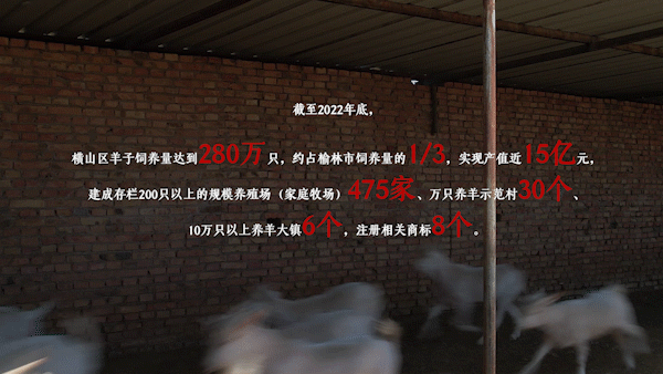 致富经养羊视频全集_羊肉免致富经视频_致富经羊肉