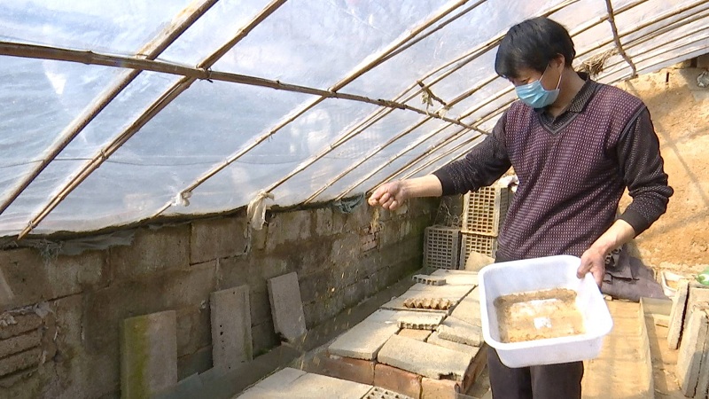 蝎子养殖基地在哪里_蝎子养殖的基地_蝎子养殖基地技术网