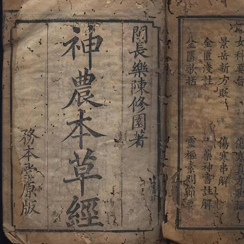 致富经爬沙虫养殖技术_致富经沙虫_养殖沙虫
