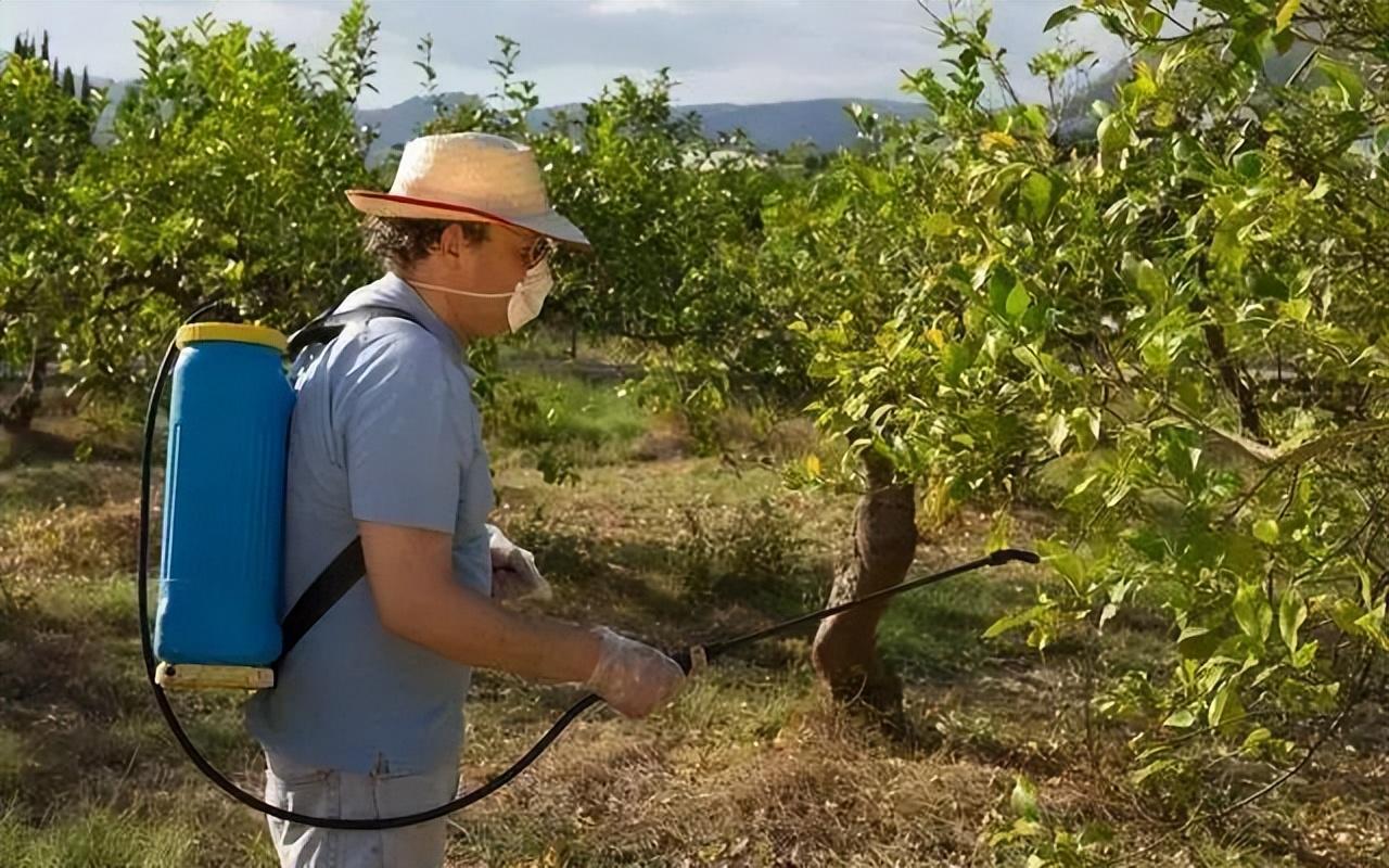养殖沙虫_致富经爬沙虫养殖技术_致富经沙虫