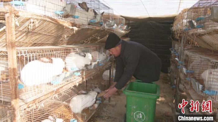 视频致富养殖肉兔赚钱吗_致富经创业项目农村养殖肉兔_致富经肉兔养殖视频
