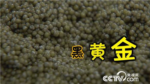 六畜兴旺贺新春