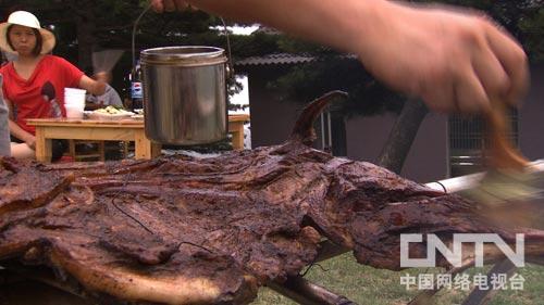 致富三农豪猪图片大全_三农致富经豪猪_致富经豪猪