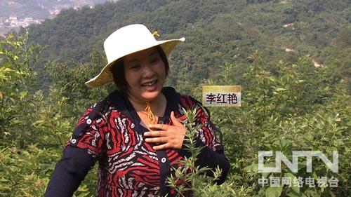 三农致富经豪猪_致富三农豪猪图片大全_致富经豪猪