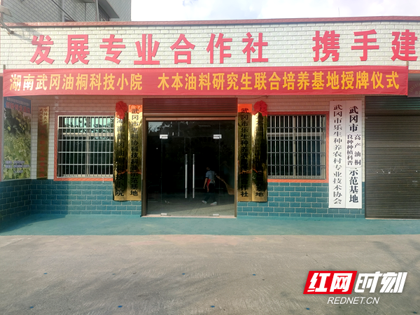 武冈：发展油桐种植业 点燃乡村振兴新引擎