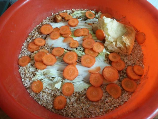 食用昆虫养殖技术_昆虫养殖食用技术论文_昆虫养殖食用技术有哪些