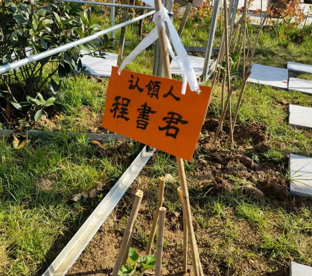 葫芦种植东西技术视频_葫芦种植东西技术要点_越东西葫芦种植技术
