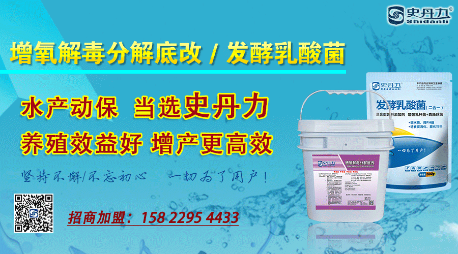 人工养殖河豚技术_养殖人工河豚技术规范_养殖人工河豚技术视频