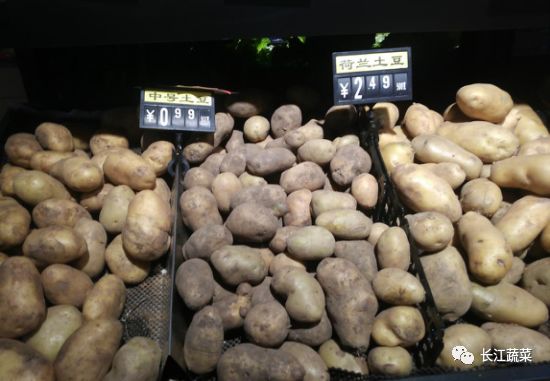 冬季种的土豆什么时候开始收_冬季土豆什么时候下种_土豆冬季种植技术