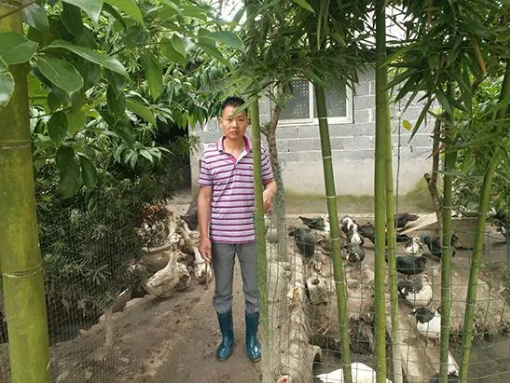 致富养殖好项目大全_勤劳致富养殖_养殖致富经