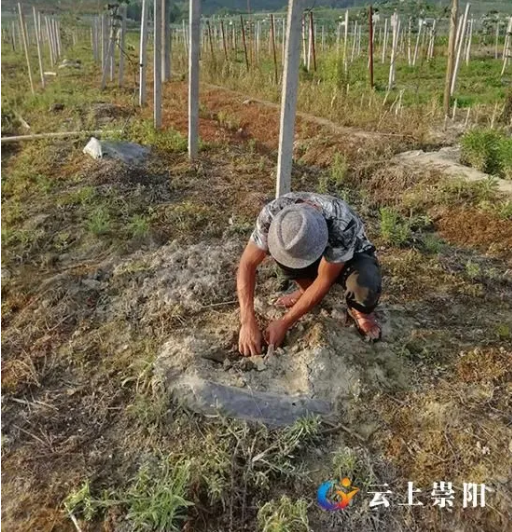 致富养殖好项目大全_勤劳致富养殖_养殖致富经