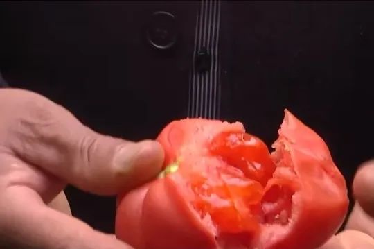 农村种植致富新路_农村致富路什么最好_农村致富新路子