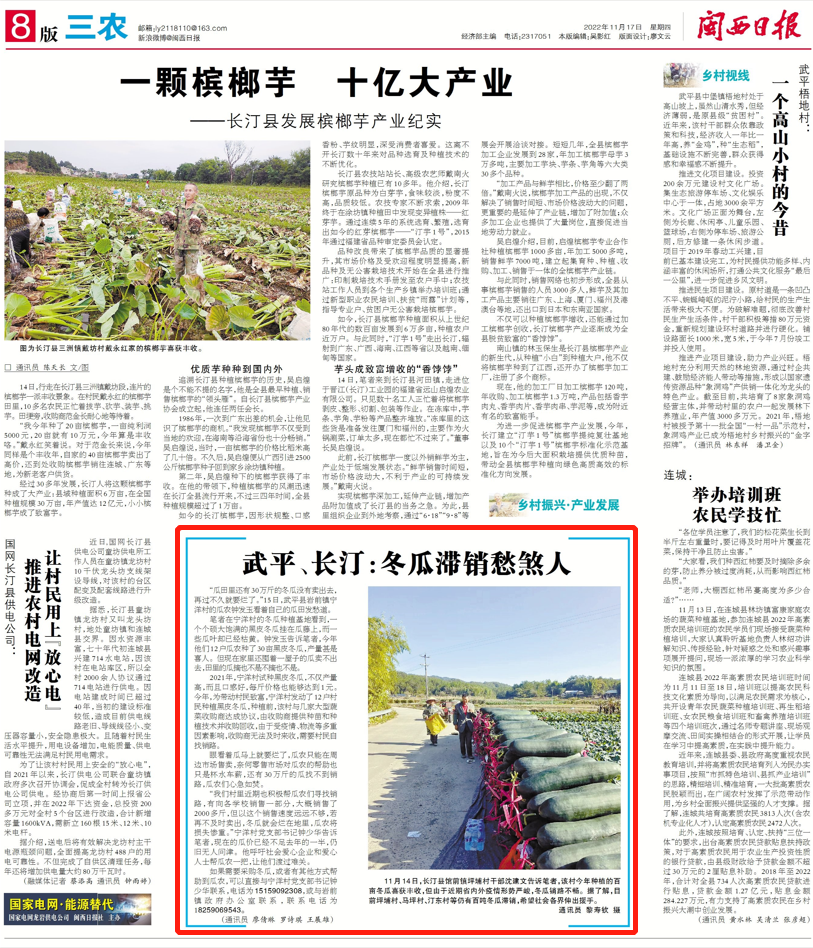 冬瓜怎么种植技术_种植冬瓜的技术_黑冬瓜种植技术视频