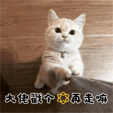 菌菇大棚图片_大棚菌菇种植技术_菌菇种植大棚设备